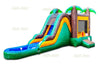 Image of Paradise Palm Combo Wet n Dry