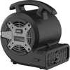 Image of BlueDri VP-15 ⅛ HP Compact Residential Air Mover & Blower Fan: black