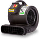 10 Foot Black Air Dancer  with Blower by Look Our Way