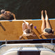 Mini Mate Inflatable Boat Dock 10 x 3 ft Slim Dock Platform