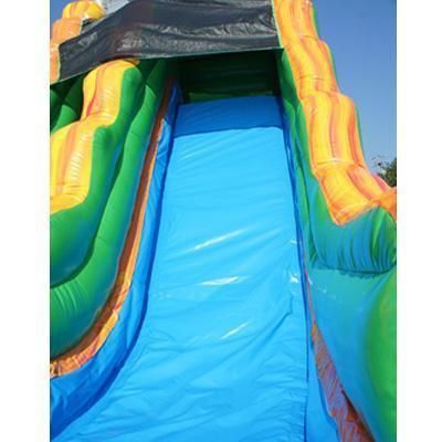 Moonwalk USA Waterslide 19'H Palm Tree Slide Wet N Dry by MoonWalk USA 19'H Palm Tree Slide Wet N Dry by MoonWalk USA SKU# W-281 Water Slide