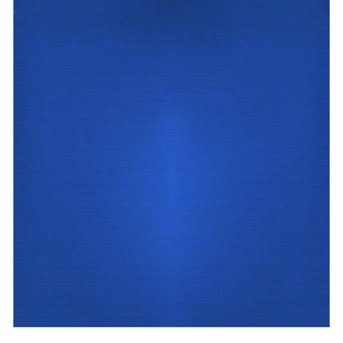 Moose Supply Inflatable Bounce House Vinyl Repair Kit, Blue with 4 oz. SX69 Glue