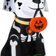 3' Gemmy Airblown Inflatable Halloween Paw Patrol Marshall in Skeleton Costume