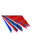 Image of Pennant String Flags - Indoor/Outdoor