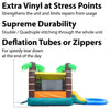 Image of POGO Inflatable Bouncers 13.5'H Crossover Tropical Dual Lane Bounce House Slide with Pool with Blower, Backyard Party Package by POGO 754972305945 5522 13.5'H Crossover Tropical Dual Lane Bounce House Slide Pool Blower