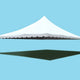 30' x 30' Premium Pole Party Tent Top - White