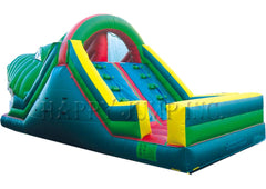 Alligator Inflatable Slide