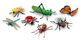 Spider Suppertime Interactive Carnival Frame Game