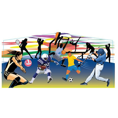 Sports Modular Panel