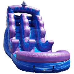 16'H Purple Dolphins by Tago's Jump