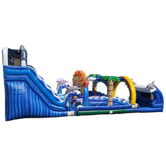 18'H Water Slide & Slip Dolphins by Tago's Jump