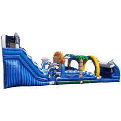 18'H Water Slide & Slip Dolphins by Tago's Jump