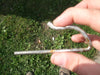 Image of 20' x 40' Replacement West Coast Tent Frame Only, Single Tube