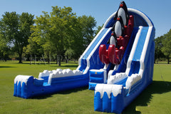 Raging Rapids Penguin Wet Dry Slide - WS4402