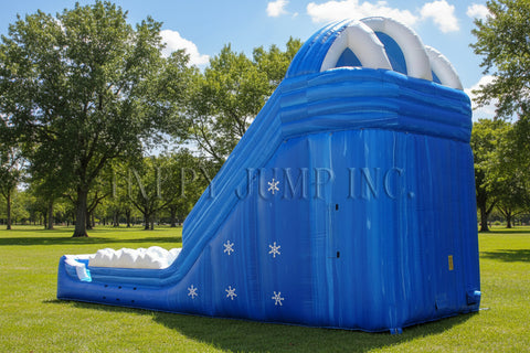 Raging Rapids Penguin Wet Dry Slide - WS4402