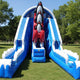 Raging Rapids Penguin Wet Dry Slide - WS4402