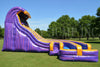 Image of Aqua Purple Water Slide - WS4455