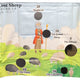 Lost Sheep UltraLite Air Frame Game Panel